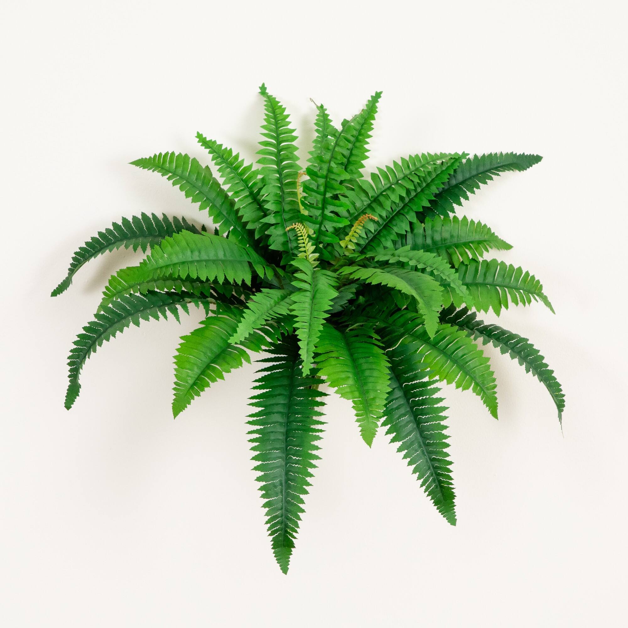 32" Artificial Boston Fern - Set of 2
